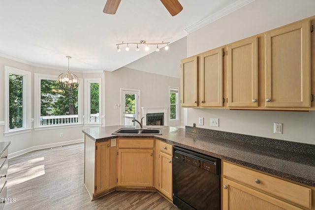 316 Trafalgar Ln, Cary, NC 27513 - kitchen featuring black dishwasher, a ceiling fan, a peninsula, light wood-type flooring, and light brown cabinetry