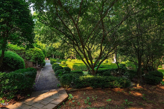 8200 Bromley Rd, Hillsborough, NC 27278 - photo 59