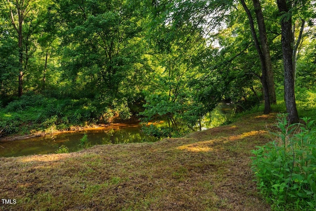 8200 Bromley Rd, Hillsborough, NC 27278 - photo 71