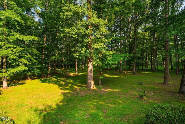 8200 Bromley Rd, Hillsborough, NC 27278 - photo 68