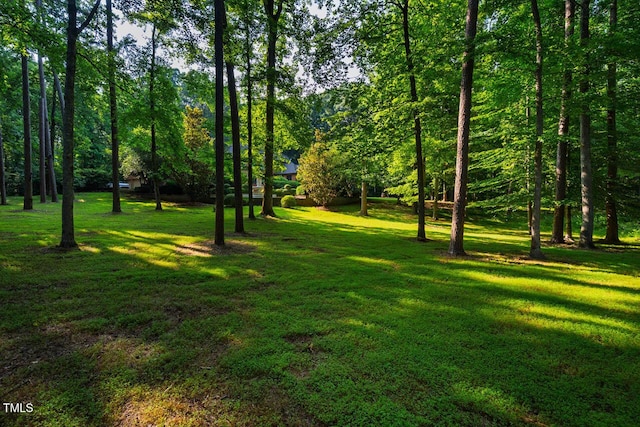 8200 Bromley Rd, Hillsborough, NC 27278 - photo 69