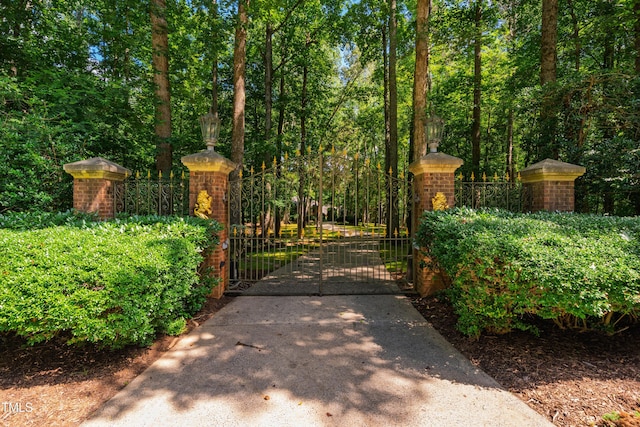 8200 Bromley Rd, Hillsborough, NC 27278 - photo 1