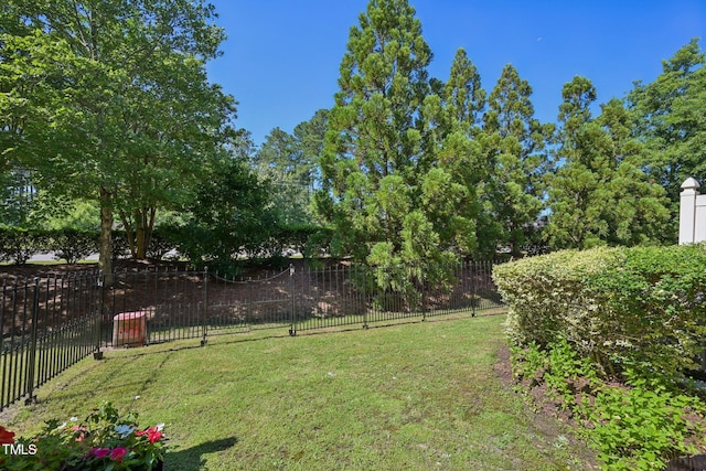 453 Panorama Park Pl, Cary, NC 27519 - view of yard