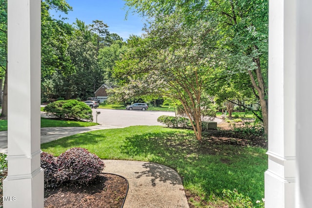 12 Gatesway Ct, Durham, NC 27707 - view of green lawn