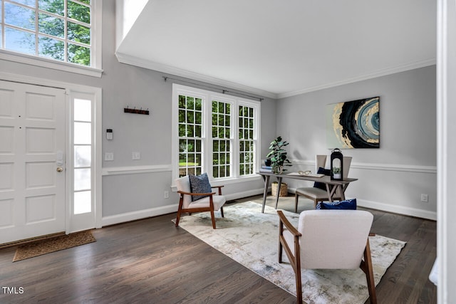 12 Gatesway Ct, Durham, NC 27707 - entryway featuring ornamental molding, plenty of natural light, and dark wood-style floors