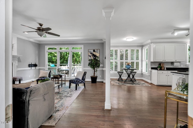 12 Gatesway Ct, Durham, NC 27707 - living room with ornamental molding, plenty of natural light, a ceiling fan, and dark wood-type flooring
