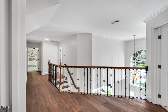 12 Gatesway Ct, Durham, NC 27707 - photo 35