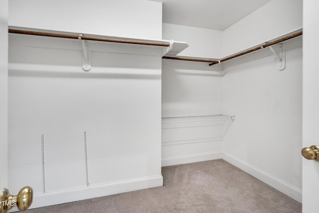 12 Gatesway Ct, Durham, NC 27707 - spacious closet featuring carpet floors