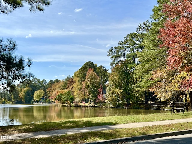 1505 Clermont Rd Unit 15, Durham, NC 27713 - view of home's community featuring a water view