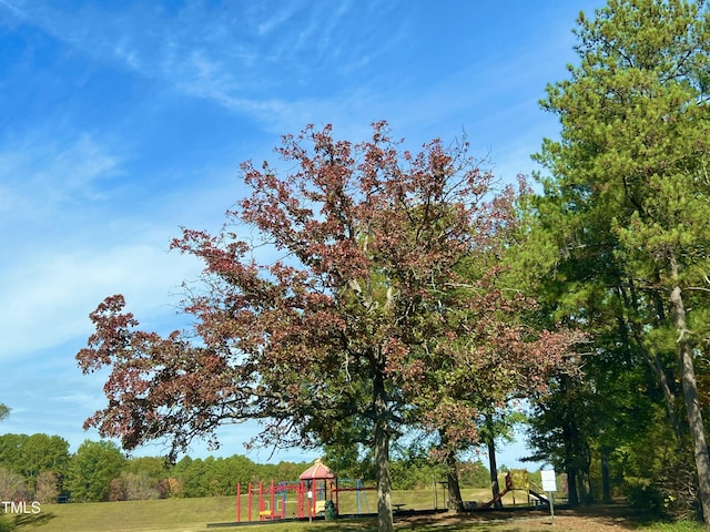 1505 Clermont Rd Unit 15, Durham, NC 27713 - view of green lawn