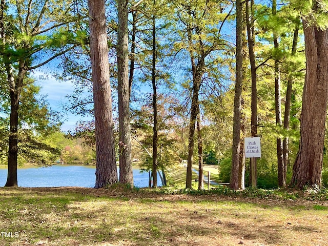 1505 Clermont Rd Unit 15, Durham, NC 27713 - water view