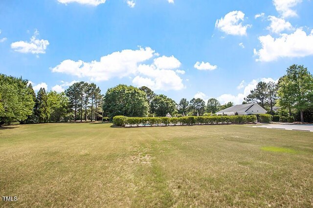 5712 Turner Store Ln, Raleigh, NC 27603 - photo 49