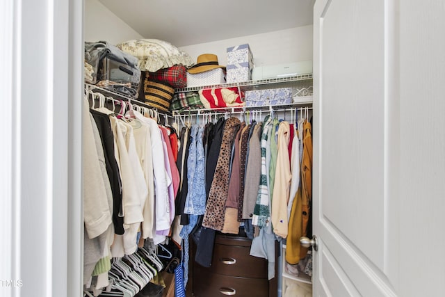 818 Bryant St, Raleigh, NC 27603 - view of spacious closet