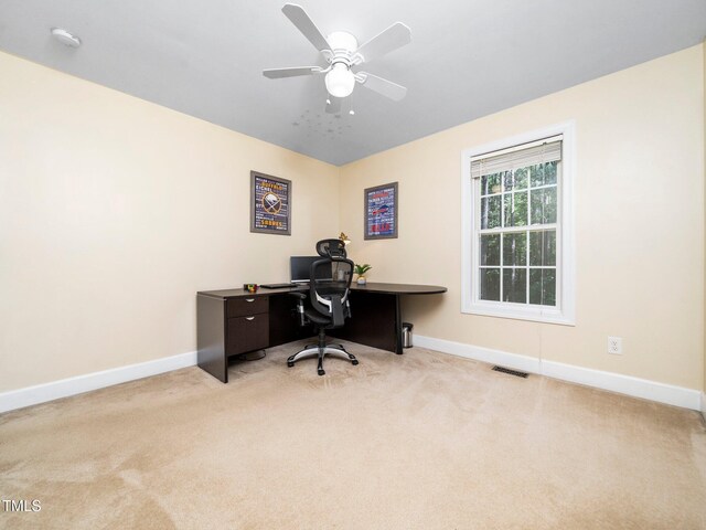 65 Shorrey Pl, Youngsville, NC 27596 - photo 29
