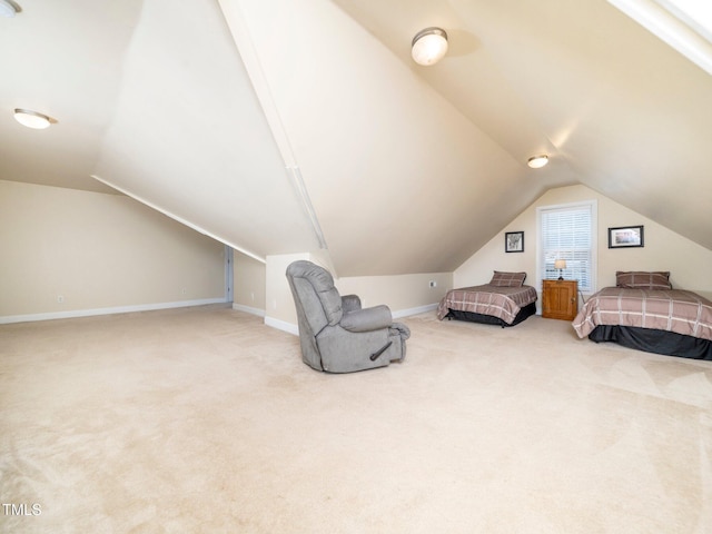 65 Shorrey Pl, Youngsville, NC 27596 - photo 37