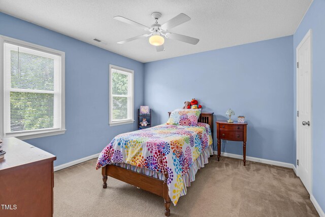 209 Bradley Dr, Benson, NC 27504 - photo 23