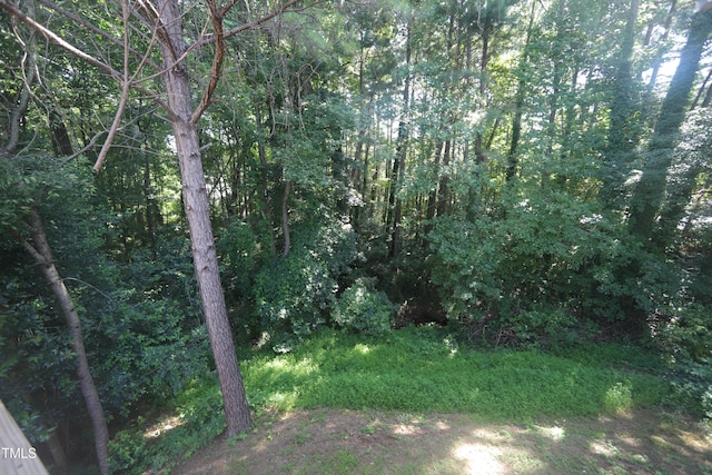 2816 Alder Ridge Ln, Raleigh, NC 27603 - photo 19