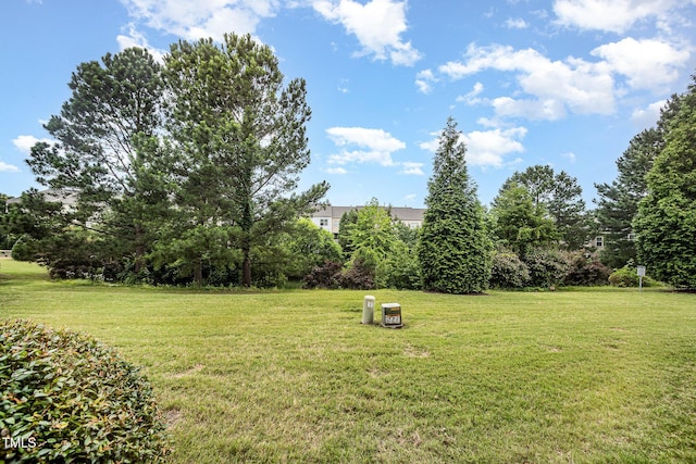 404 Panorama Park Pl, Cary, NC 27519 - view of green lawn