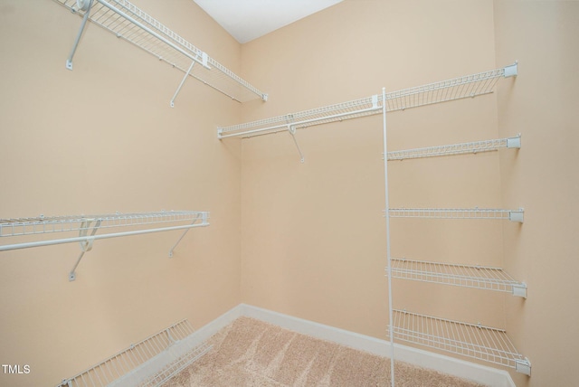 404 Panorama Park Pl, Cary, NC 27519 - walk in closet with carpet