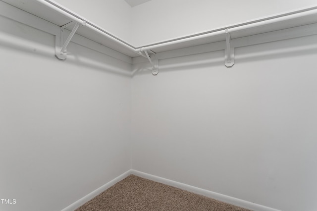 2905 Scuppernong Ln, Durham, NC 27703 - walk in closet with carpet floors