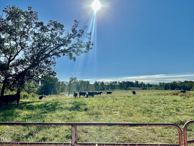 LOT1 Jones Rd, Hurdle Mills, NC 27541