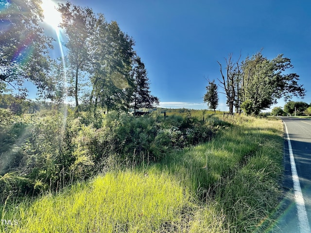 LOT1 Jones Rd, Hurdle Mills, NC 27541