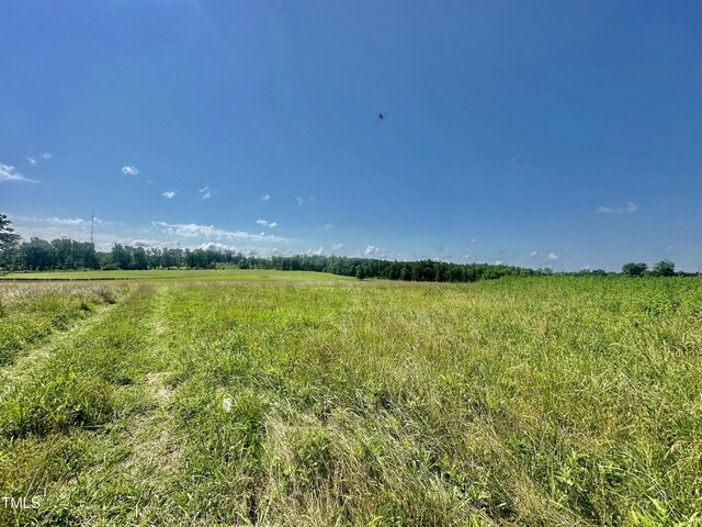 LOT1 Jones Rd, Hurdle Mills, NC 27541