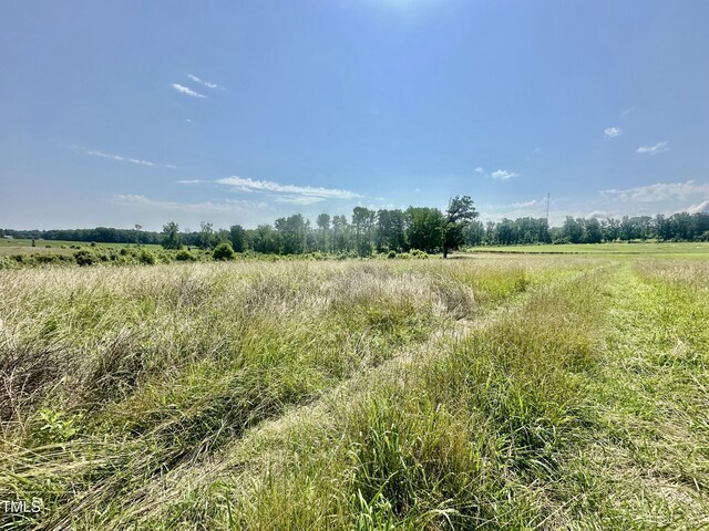LOT1 Jones Rd, Hurdle Mills, NC 27541