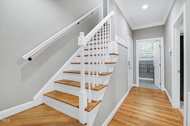 6313 Belle Crest Dr, Raleigh, NC 27612 - photo 26