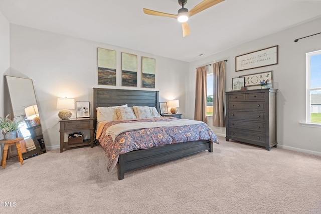 41 Liam Dr, Broadway, NC 27505 - photo 18