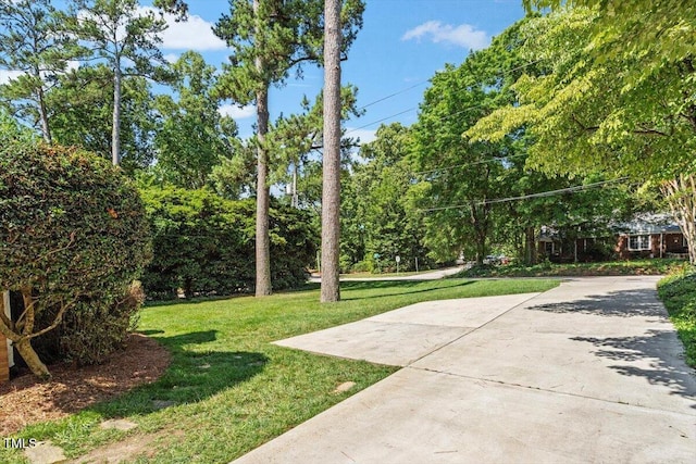 1100 Brooks Ave, Raleigh, NC 27607 - view of grassy yard