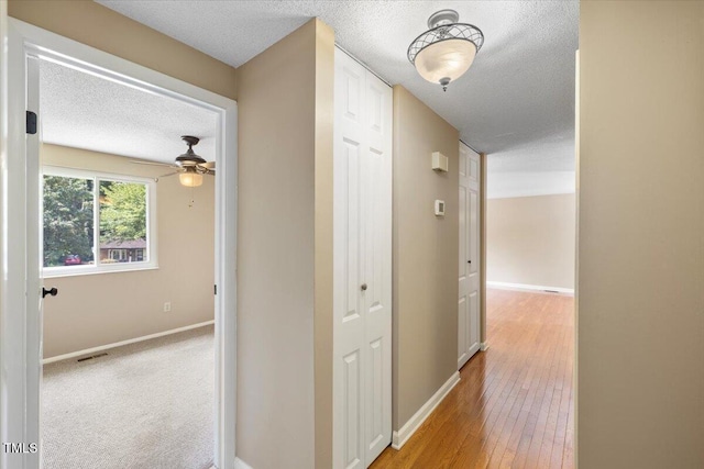 3905 Old Creek Ct, Raleigh, NC 27604 - photo 13