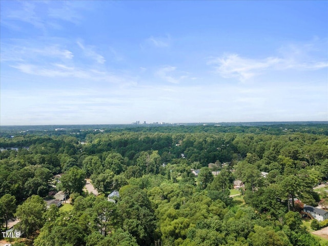 3905 Old Creek Ct, Raleigh, NC 27604 - photo 33