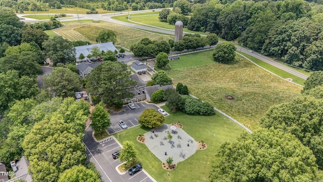 384 Lyndfield Cl W, Pittsboro, NC 27312 - bird's eye view