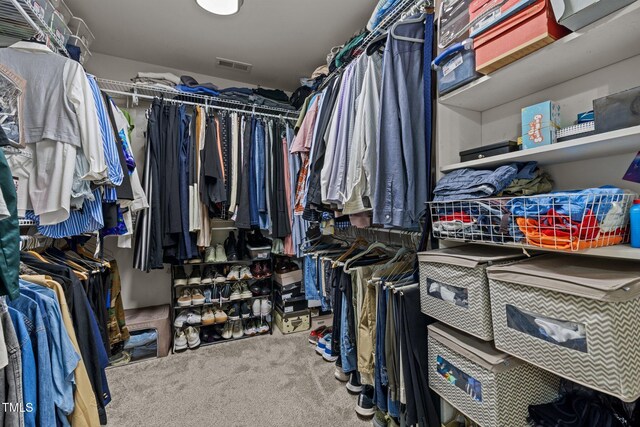 15 Smoketree Ct, Durham, NC 27712 - walk in closet with carpet flooring