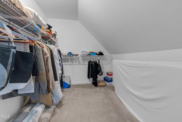 200 Holly Branch Dr, Holly Springs, NC 27540 - spacious closet with carpet and vaulted ceiling