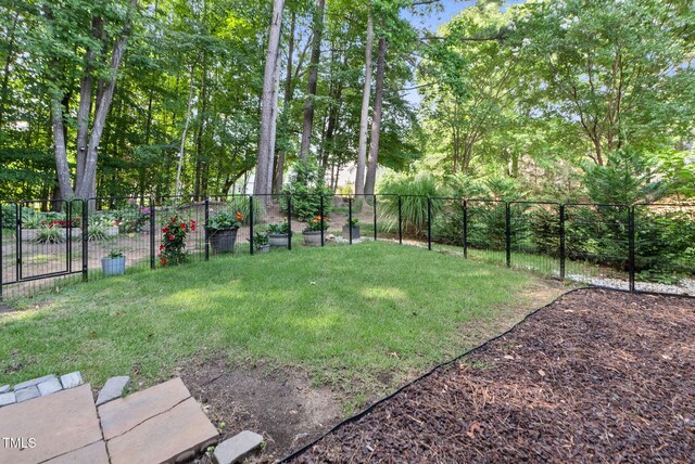 200 Holly Branch Dr, Holly Springs, NC 27540 - view of yard