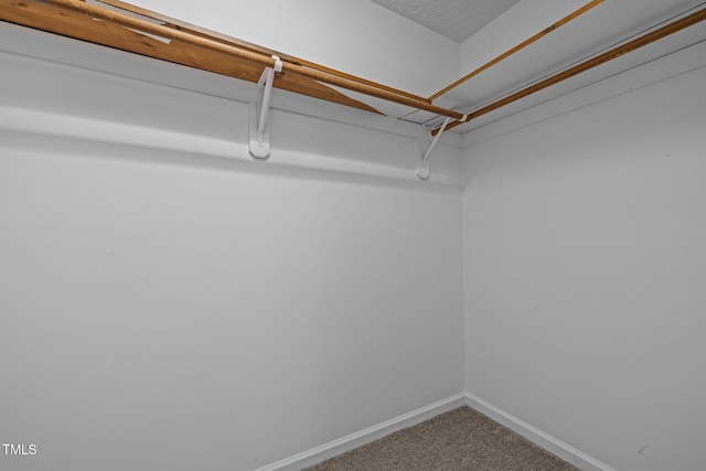 5801 Hadrian Dr, Durham, NC 27703 - walk in closet with carpet