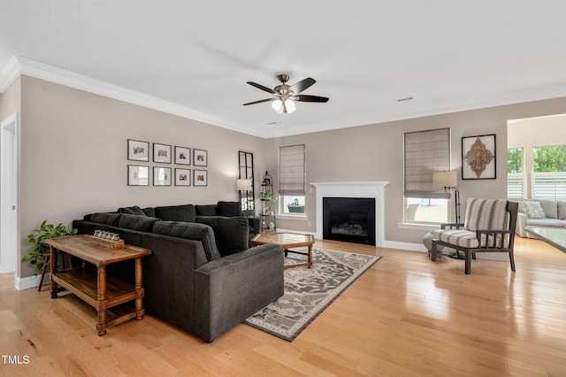 5637 Garnet Meadow Rd, Knightdale, NC 27545 - living area featuring ceiling fan, light wood-style flooring, crown molding, and a fireplace