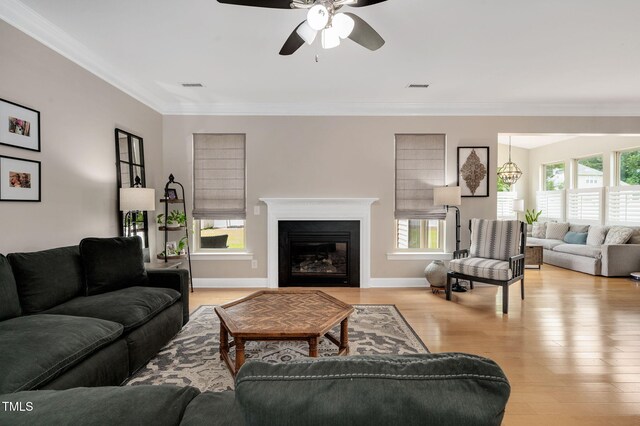5637 Garnet Meadow Rd, Knightdale, NC 27545 - living room with ceiling fan, light wood-type flooring, ornamental molding, and a glass covered fireplace