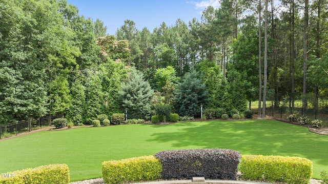 7410 Chouder Ln, Wake Forest, NC 27587 - view of yard
