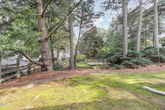 7708 Falcon Rest Cir, Raleigh, NC 27615 - view of yard