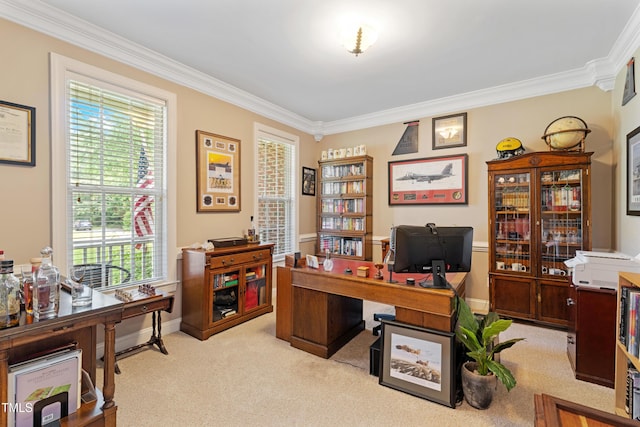102 Sevendales Dr, Goldsboro, NC 27534 - home office featuring ornamental molding, light colored carpet, and plenty of natural light