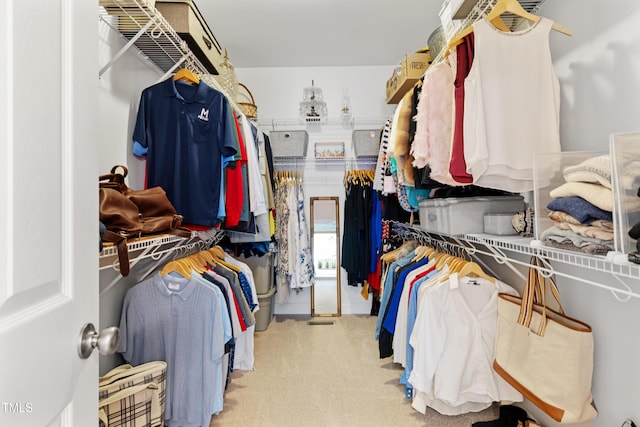 102 Sevendales Dr, Goldsboro, NC 27534 - walk in closet featuring carpet