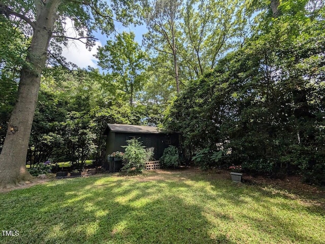 202 Howland Ave, Cary, NC 27513 - view of green lawn