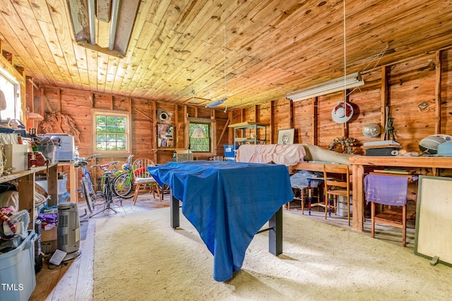 108 High St, Carrboro, NC 27510 - playroom with wood ceiling and wooden walls