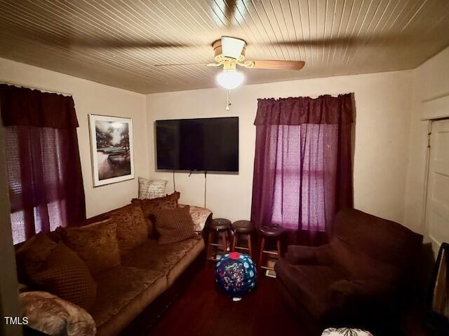981 Leasburg Rd, Roxboro, NC 27573 - living area featuring a ceiling fan