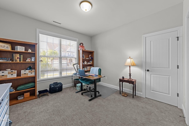 427 Cedar Pond Ct, Knightdale, NC 27545 - office space with carpet flooring