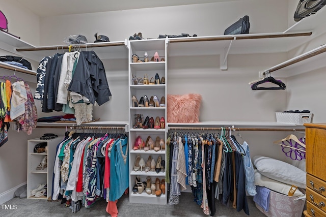 427 Cedar Pond Ct, Knightdale, NC 27545 - spacious closet featuring carpet flooring