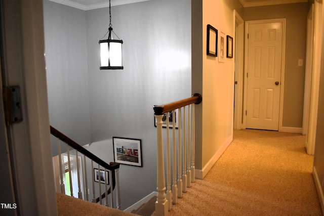 408 Greenfern Ct, Burlington, NC 27215 - hallway with an upstairs landing, carpet floors, and crown molding